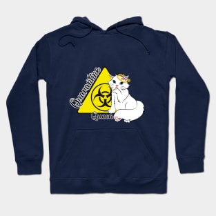 Quarantine Queen Hoodie